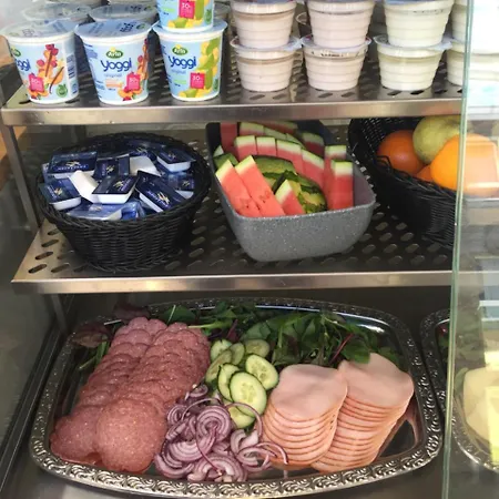 Hostel Danhostel Skansen *